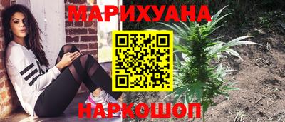 эйфоретик Славгород