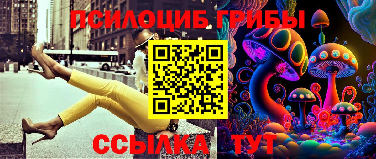 Псилоцибиновые грибы мицелий Нижний Новгород