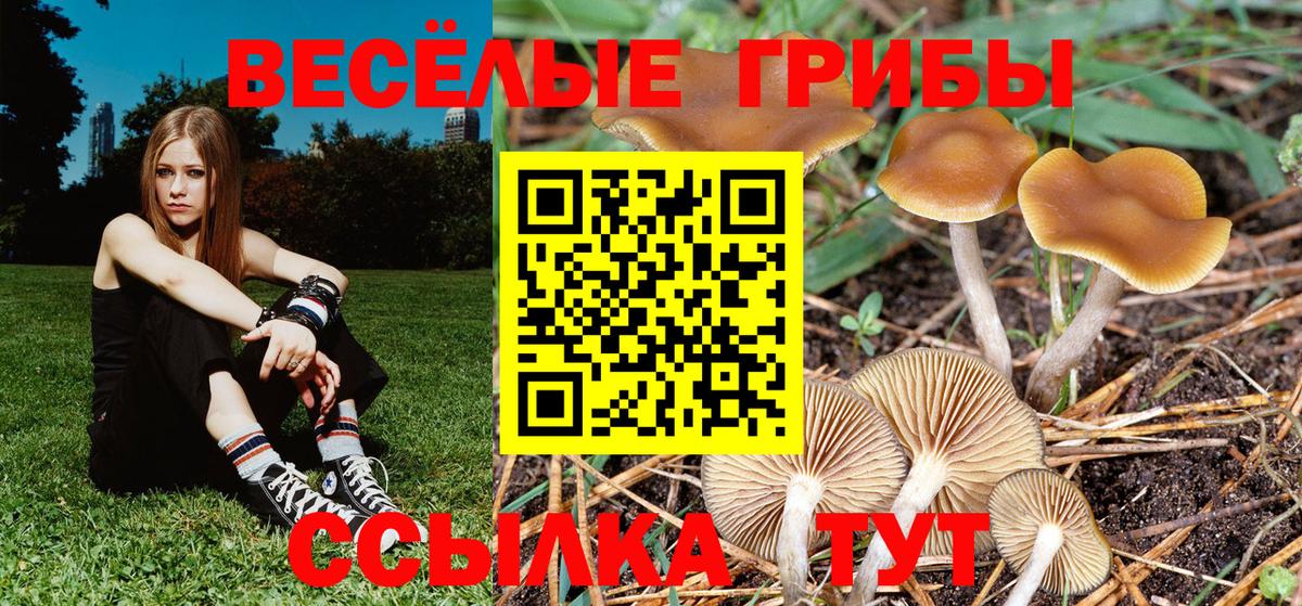 Галлюциногенные грибы ЛСД  Вход с VPN  Нижний Новгород 